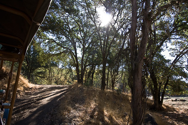 ISafari West terrain