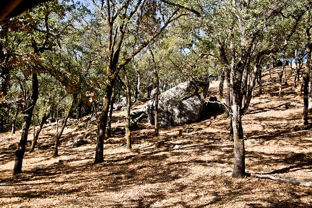 Safari West terrain