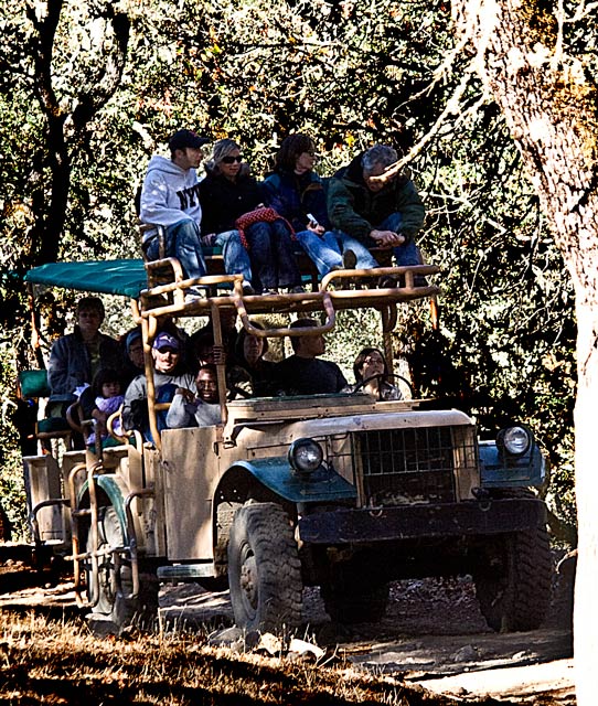 Safari-vehicle