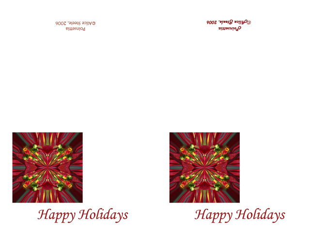 Poinsetta-alternateWEB.jpg