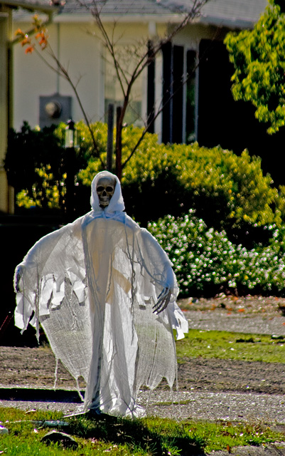 IMG_5604scary-ghostWEB.jpg