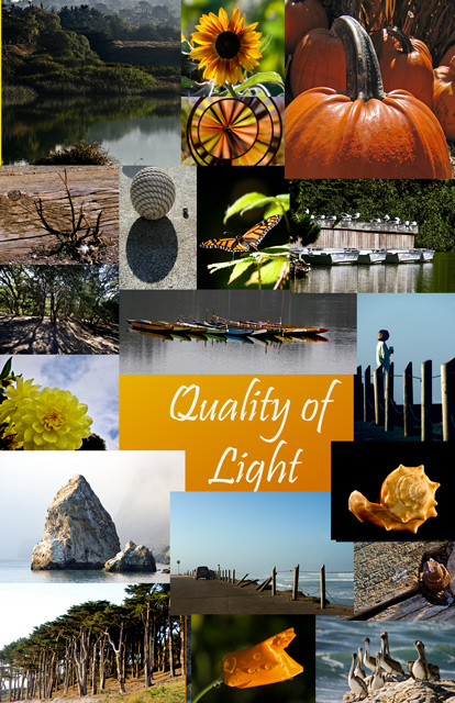 Quality of Light, November 2007
