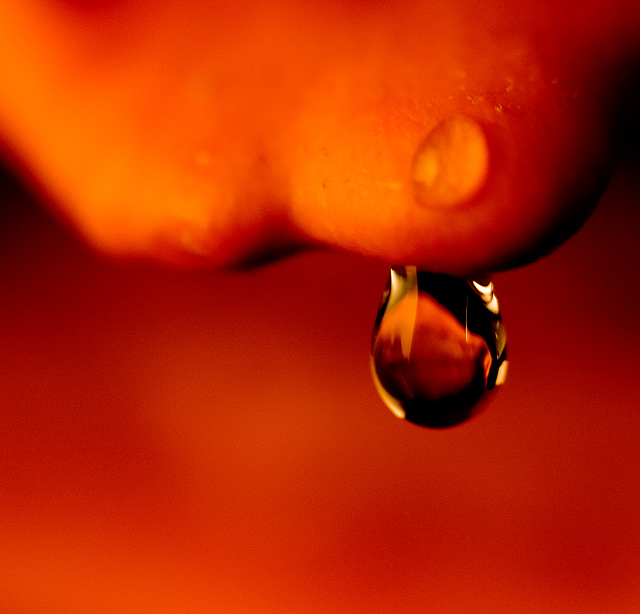 Gourd-take-2.jpg