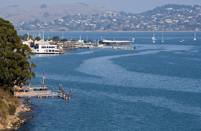 Off to the left is the Sausalito tourist waterfront