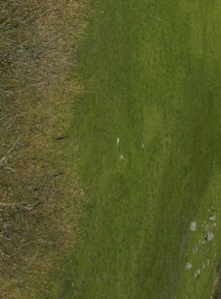 Beginning background #7