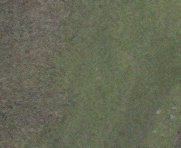 finshed background #7