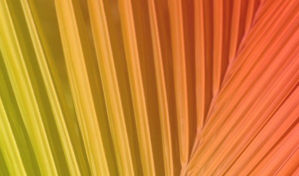 Abstract-#12texture w/gradient.jpg