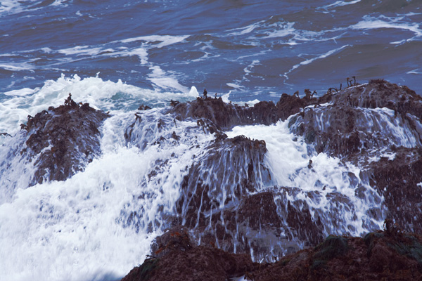 IMG_9275coastline-#2-