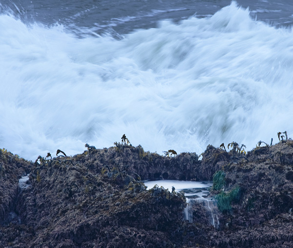 IMG_9246Coastline-#1