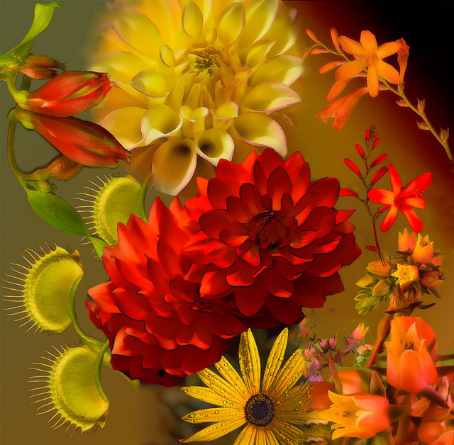 YelloW-orange-collage- [Floral]