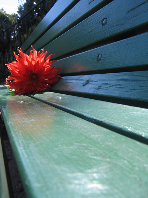 flower-and-bench-original-