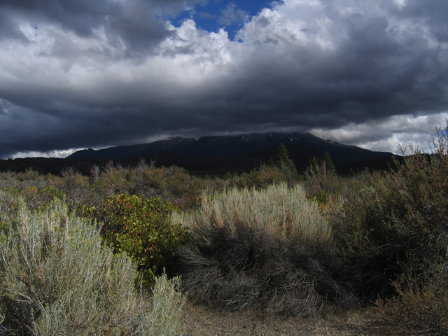 263_6347-mt-shasta-original.jpg