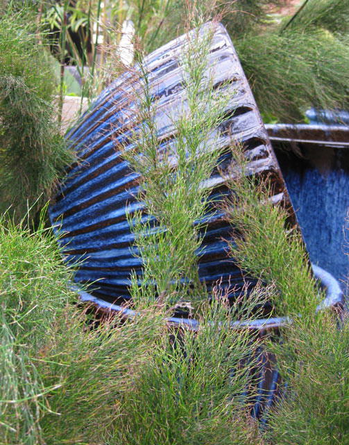 IMG_1253-blue-jars-original-640.jpg