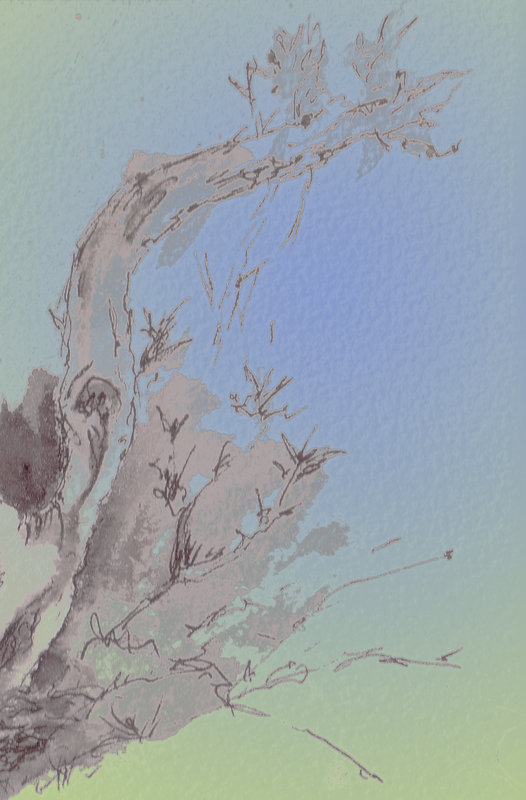 Fragment blues.jpg