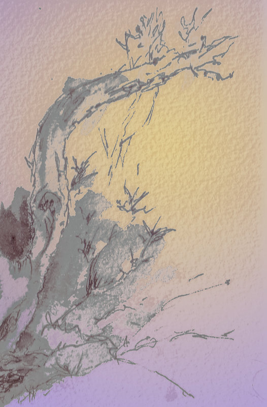 Fragment yellows.jpg