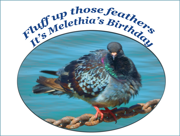 Happy Birthday Melethia!