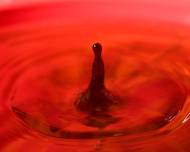 IMG_4532-red-two.jpg