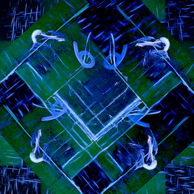 perched-pelican-fractalius