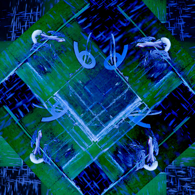 -perched-pelican-geometric
