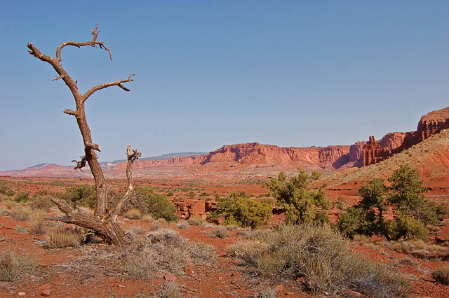 CapitolReef-Original.jpg