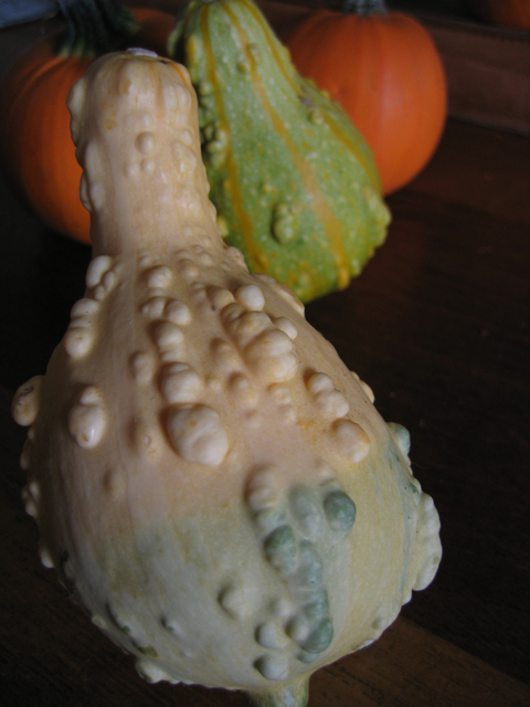 Veggies-original-