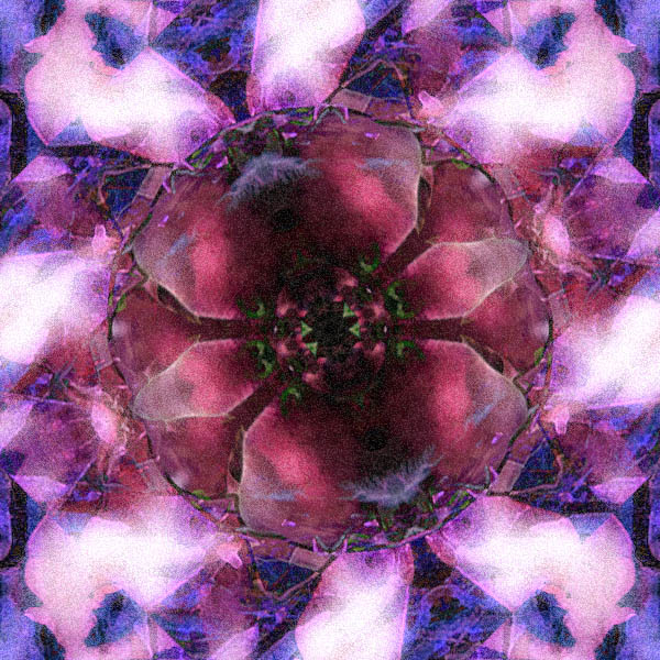 magnolia- geomtric 
