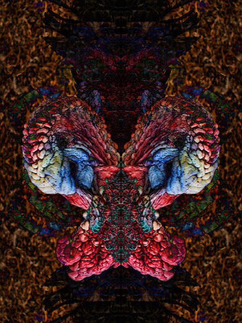 266_6688-tom-turkey-geometric.jpg