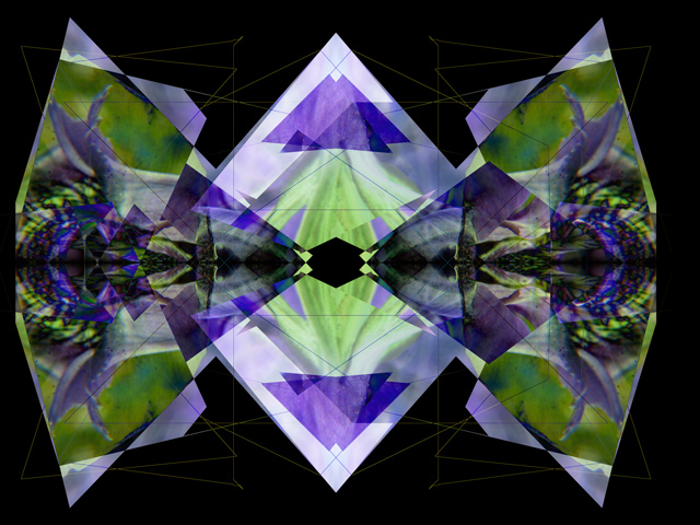-douglas-iris--4-