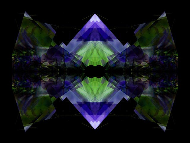 -douglas-iris-5-