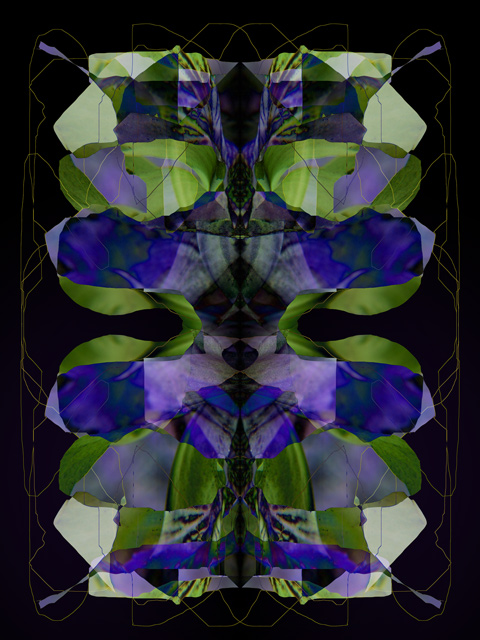 -douglas-iris-3-GEO-