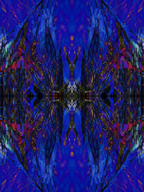 331_3188-from-poppies-geometric