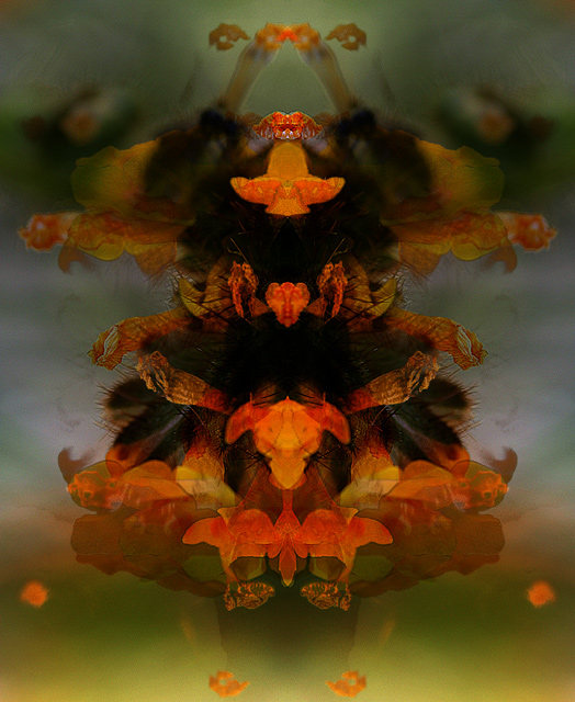 340_4083-wildflower-3-