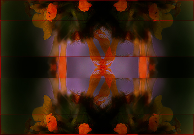 340_4083-wildflower-7-