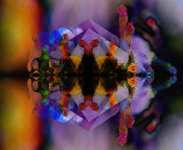 340_4083-wildflower-2