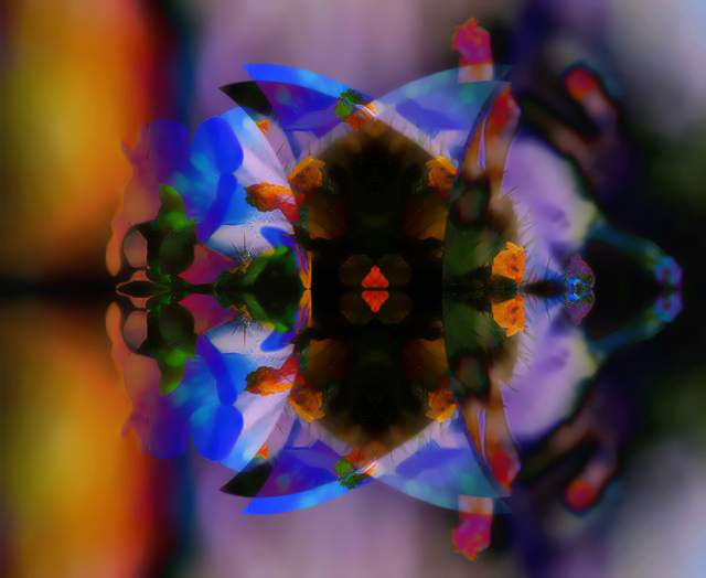 340_4083-wildflower-6-