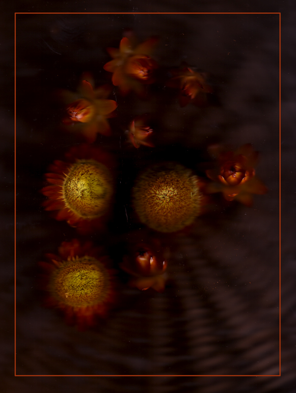 Image-6-straw-flowers-and-basket-