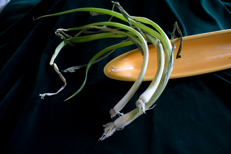 IMG_6707scallions-original