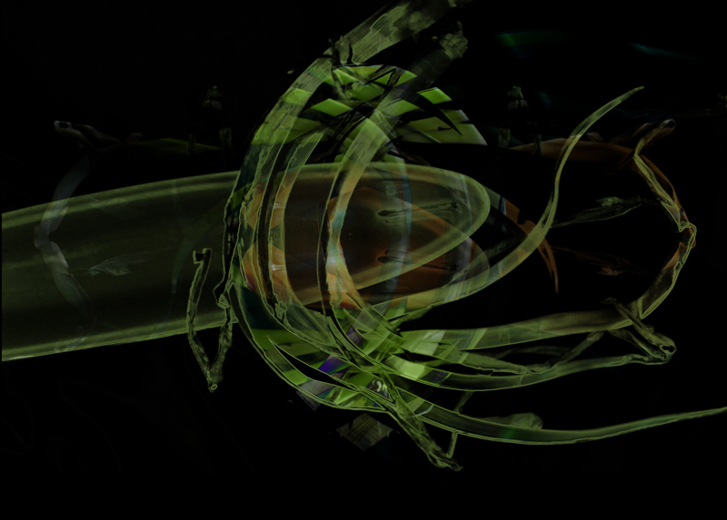 free form scallions-II