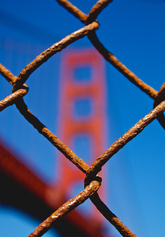 IMG_2276frame-the-bridge-1800-o