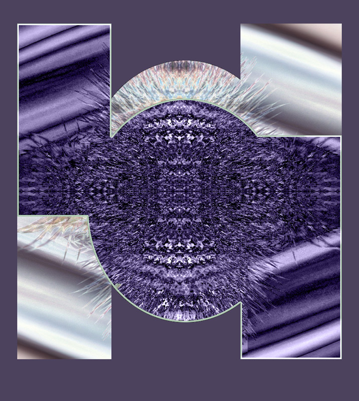 -thistle-geo-800