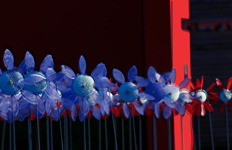 IMG_1778-twirly-flowers-original-800