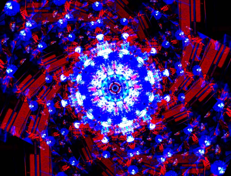 IMG_1778-twirly-flower-spin-wheel-1-800