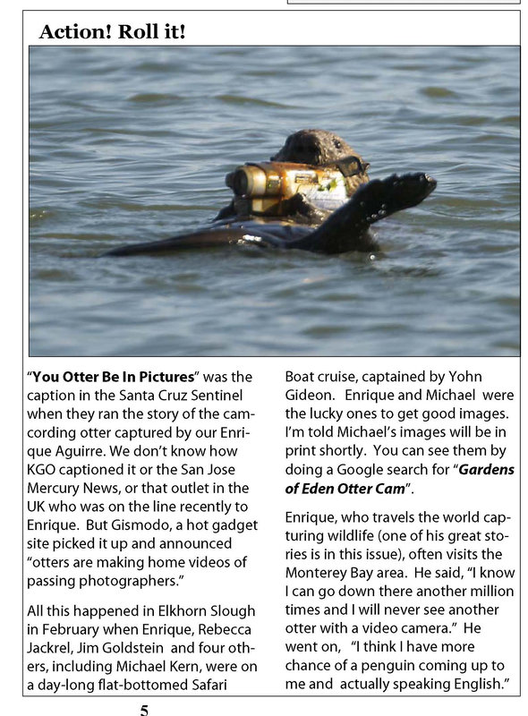 APRIL 2009 COLOR NEWS page 5 cropped