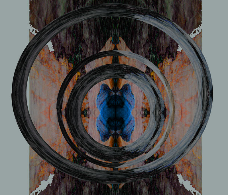 244_4404-donut-holes-1-800