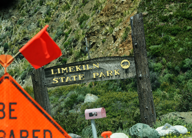 IMG_0162-pink-mailbox-650