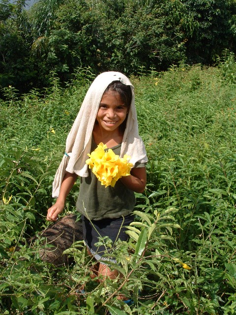 A21P29-Bouquet.JPG