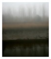 Hazy shades of Winter