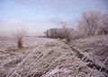 Wintry scene (CV)