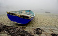 High & Dry2