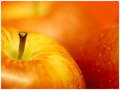 Little red apples